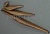 MANTA224